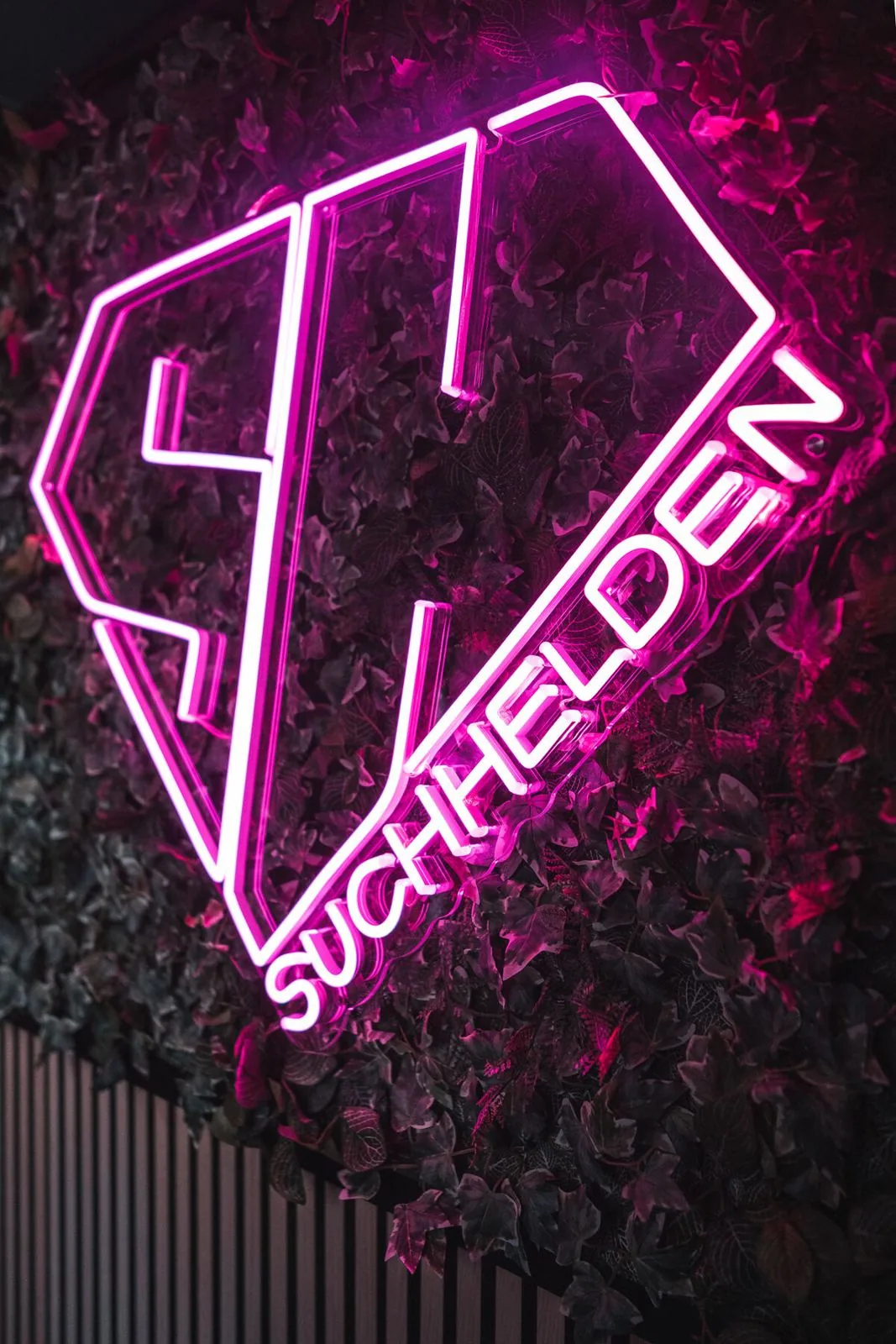 Pinkes SH-Neonlogo auf der Pflanzenwand im Suchhelden-Büro in Osnabrück Pinkes SH-Neonlogo auf der Pflanzenwand im Suchhelden-Büro in Osnabrück