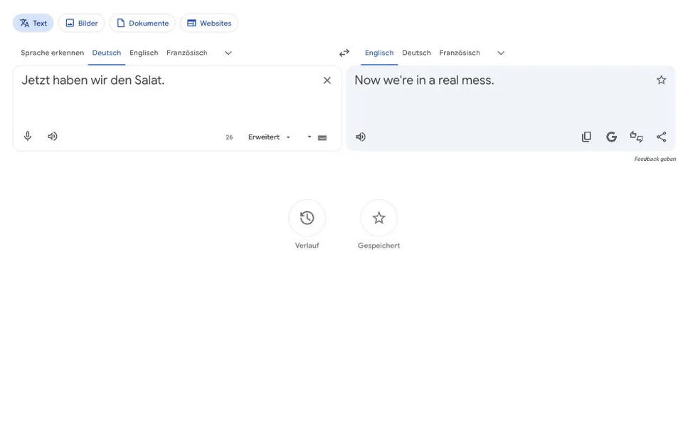 Google Übersetzer im Browser: der Satz „Jetzt haben wir den Salat.“ wird mit „Now we're in a real mess.“ übersetzt
